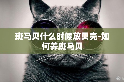 斑馬貝什么時候放貝殼-如何養斑馬貝