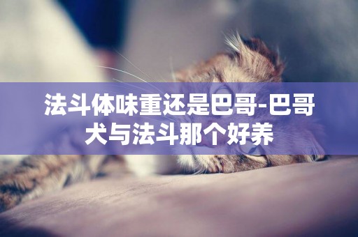 法斗體味重還是巴哥-巴哥犬與法斗那個好養