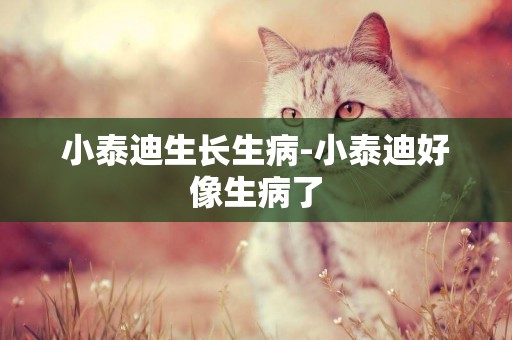 小泰迪生長生病-小泰迪好像生病了