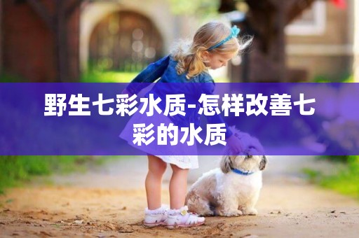 野生七彩水質-怎樣改善七彩的水質