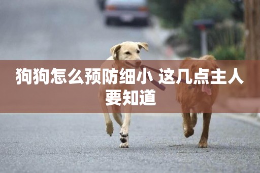 狗狗怎么預防細小 這幾點主人要知道