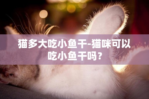 貓多大吃小魚干-貓咪可以吃小魚干嗎？
