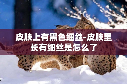 皮膚上有黑色細絲-皮膚里長有細絲是怎么了