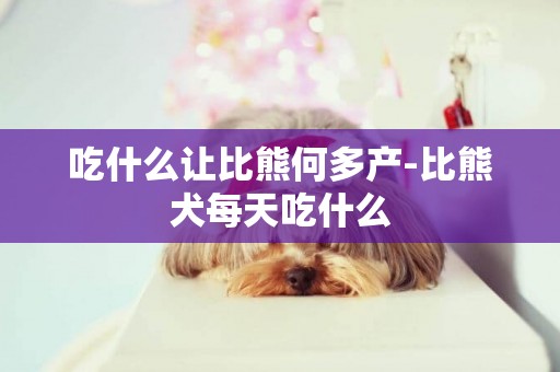 吃什么讓比熊何多產-比熊犬每天吃什么