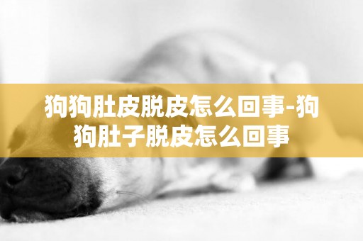 狗狗肚皮脫皮怎么回事-狗狗肚子脫皮怎么回事