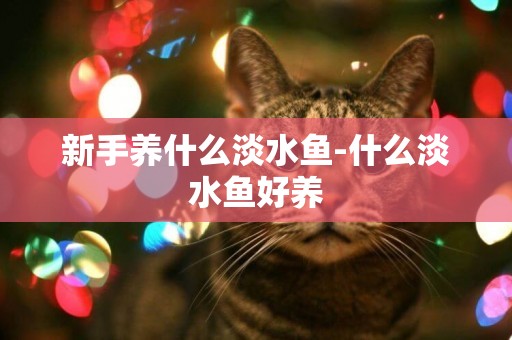 新手養什么淡水魚-什么淡水魚好養