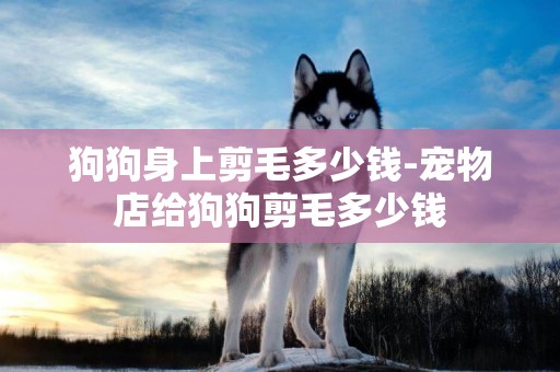 狗狗身上剪毛多少錢-寵物店給狗狗剪毛多少錢