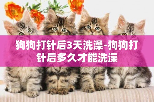 狗狗打針后3天洗澡-狗狗打針后多久才能洗澡
