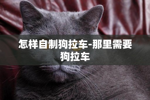 怎樣自制狗拉車-那里需要狗拉車