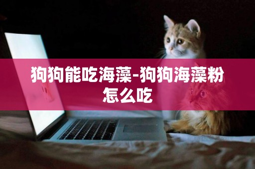 狗狗能吃海藻-狗狗海藻粉怎么吃
