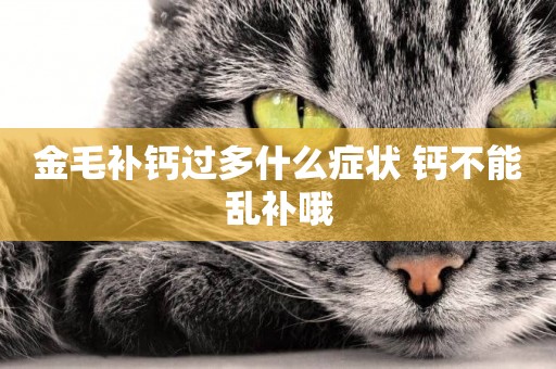 金毛補鈣過多什么癥狀 鈣不能亂補哦