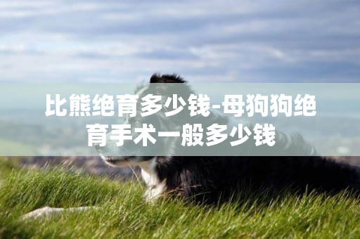 比熊絕育多少錢-母狗狗絕育手術一般多少錢