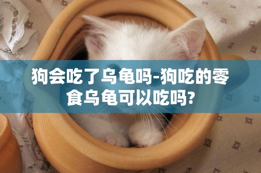 狗會吃了烏龜嗎-狗吃的零食烏龜可以吃嗎?