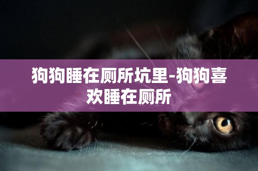 狗狗睡在廁所坑里-狗狗喜歡睡在廁所