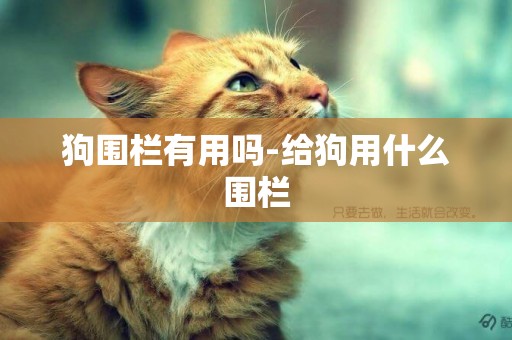 狗圍欄有用嗎-給狗用什么圍欄