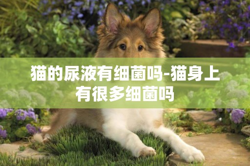 貓的尿液有細菌嗎-貓身上有很多細菌嗎