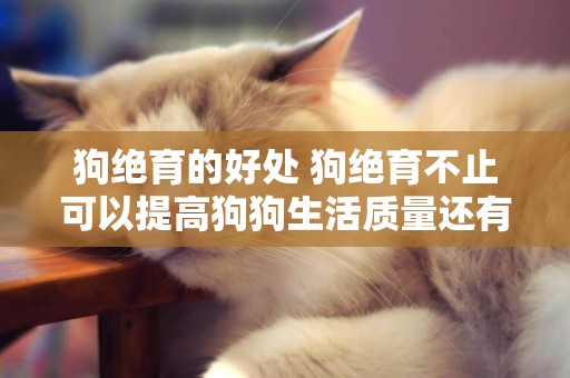 狗絕育的好處 狗絕育不止可以提高狗狗生活質量還有主人！