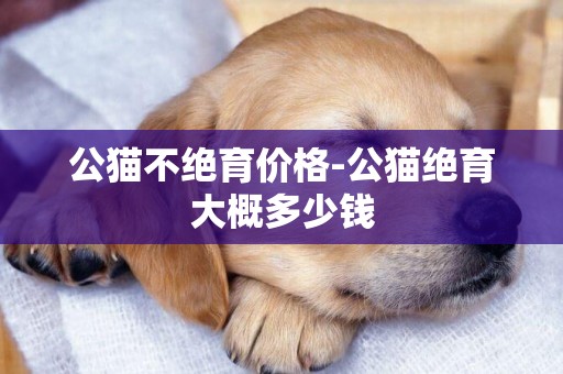 公貓不絕育價格-公貓絕育大概多少錢