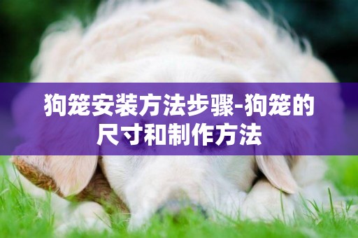 狗籠安裝方法步驟-狗籠的尺寸和制作方法
