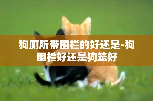 狗廁所帶圍欄的好還是-狗圍欄好還是狗籠好