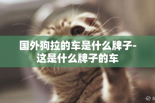 國外狗拉的車是什么牌子-這是什么牌子的車