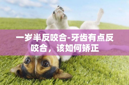 一歲半反咬合-牙齒有點反咬合，該如何矯正