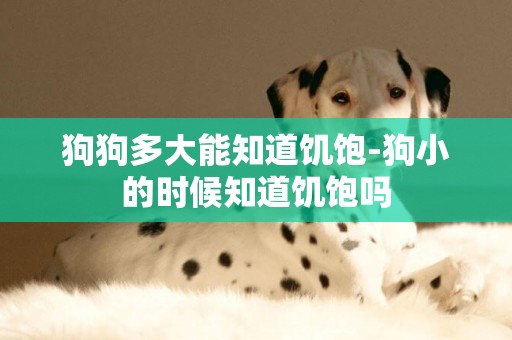 狗狗多大能知道饑飽-狗小的時候知道饑飽嗎