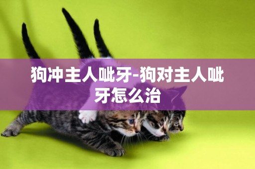 狗沖主人呲牙-狗對主人呲牙怎么治