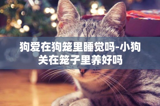 狗愛在狗籠里睡覺嗎-小狗關在籠子里養好嗎