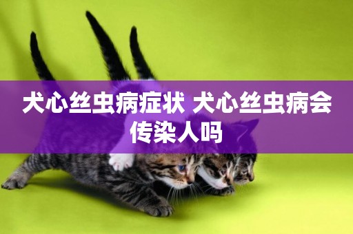 犬心絲蟲病癥狀 犬心絲蟲病會傳染人嗎