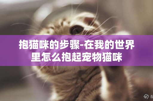 抱貓咪的步驟-在我的世界里怎么抱起寵物貓咪