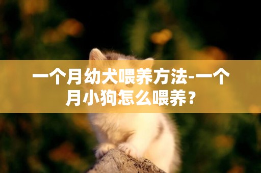 一個月幼犬喂養方法-一個月小狗怎么喂養？