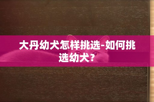 大丹幼犬怎樣挑選-如何挑選幼犬？