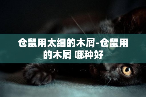 倉鼠用太細的木屑-倉鼠用的木屑 哪種好