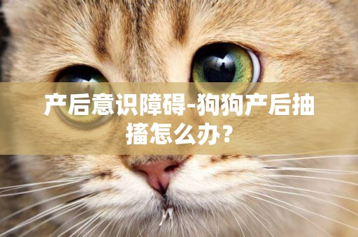 產后意識障礙-狗狗產后抽搐怎么辦？