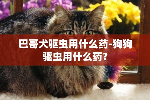 巴哥犬驅蟲用什么藥-狗狗驅蟲用什么藥？