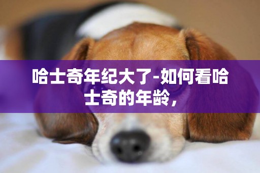 哈士奇年紀大了-如何看哈士奇的年齡，