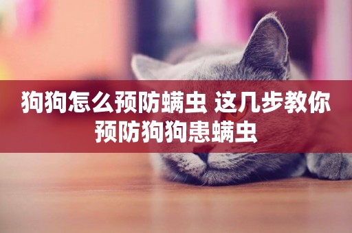 狗狗怎么預防螨蟲 這幾步教你預防狗狗患螨蟲