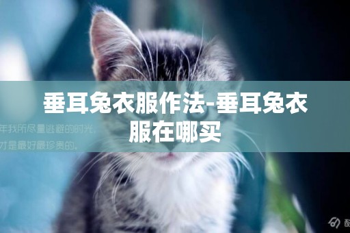 垂耳兔衣服作法-垂耳兔衣服在哪買