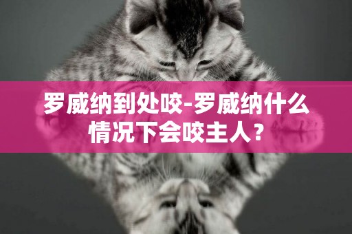 羅威納到處咬-羅威納什么情況下會咬主人？