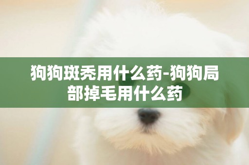 狗狗斑禿用什么藥-狗狗局部掉毛用什么藥