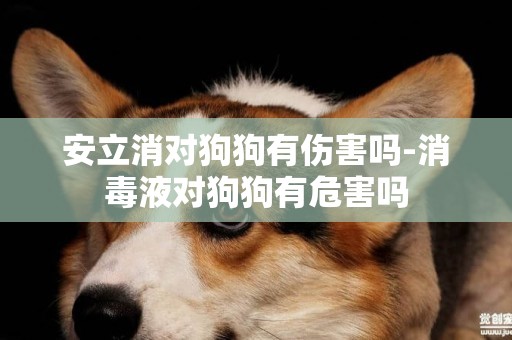 安立消對狗狗有傷害嗎-消毒液對狗狗有危害嗎
