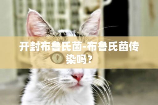 開封布魯氏菌-布魯氏菌傳染嗎？