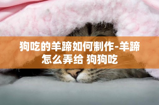 狗吃的羊蹄如何制作-羊蹄怎么弄給 狗狗吃