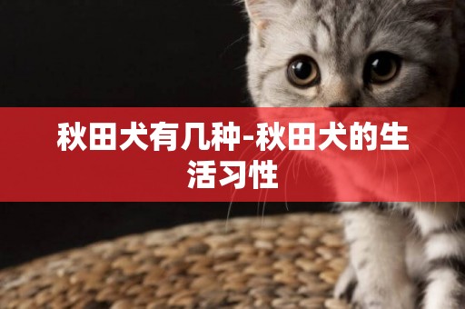 秋田犬有幾種-秋田犬的生活習性