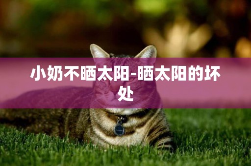 小奶不曬太陽-曬太陽的壞處