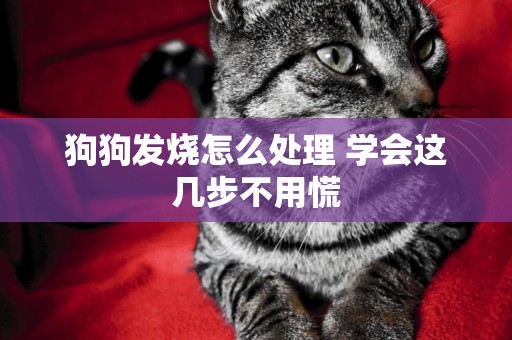 狗狗發燒怎么處理 學會這幾步不用慌