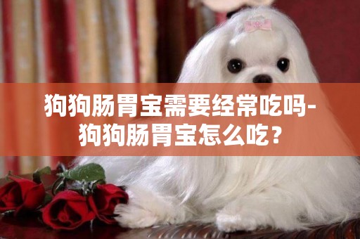 狗狗腸胃寶需要經常吃嗎-狗狗腸胃寶怎么吃？
