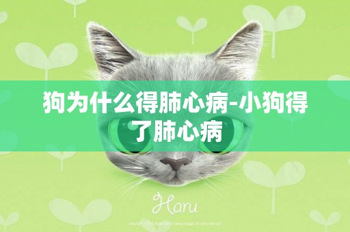 狗為什么得肺心病-小狗得了肺心病