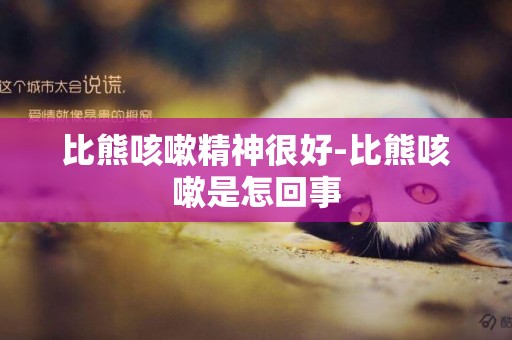 比熊咳嗽精神很好-比熊咳嗽是怎回事
